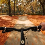 fall-fitness