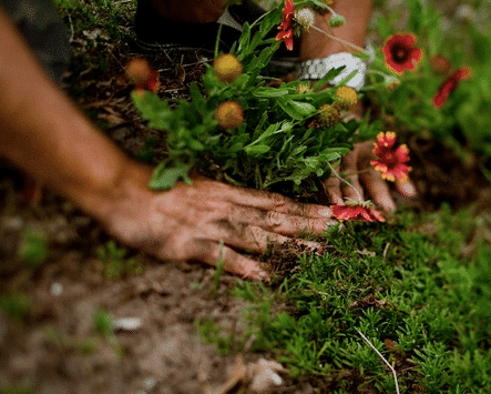 Thumb Support for Gardeners