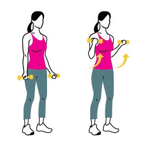 arm strengthening-biceps-curl